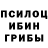 Псилоцибиновые грибы Magic Shrooms Import Merge