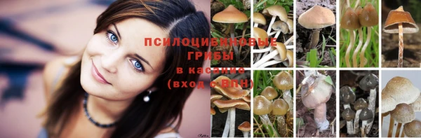 гашишное масло Алексеевка