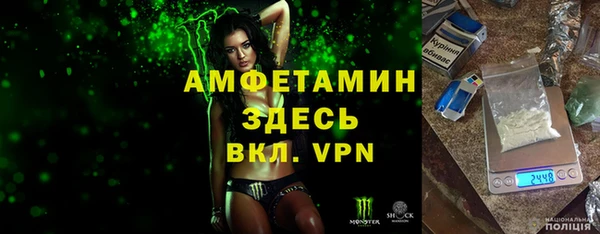 хмурый Абаза