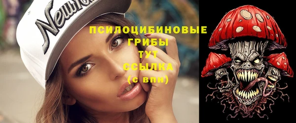 ГАЛЛЮЦИНОГЕННЫЕ ГРИБЫ Абинск